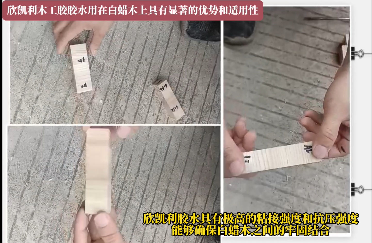 欣凱利木工膠膠水用在白蠟?zāi)旧暇哂酗@著的優(yōu)勢(shì)和適用性